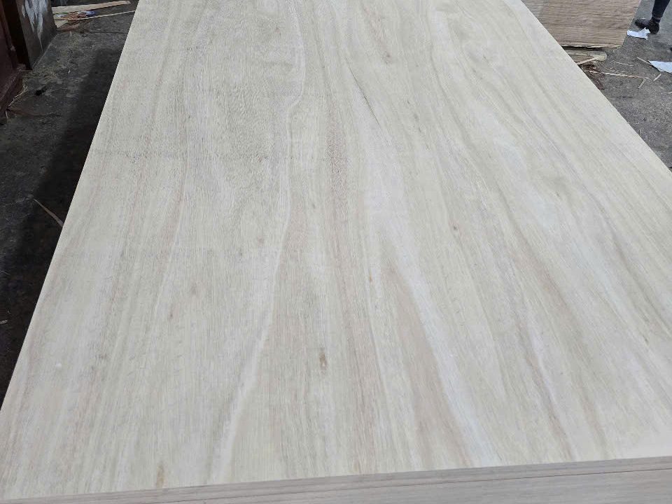Eucalyptus
